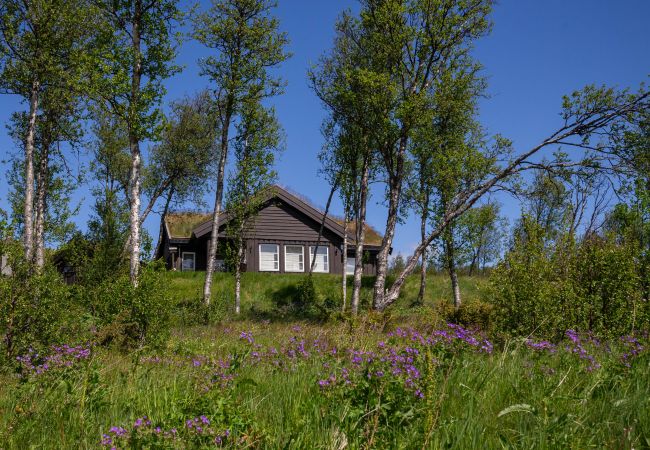 Cabin in Hol - Beautiful Mountain Cabin with great view in Geilo Cabin in Hol - Beautiful Mountain Cabin with great view in Geilo