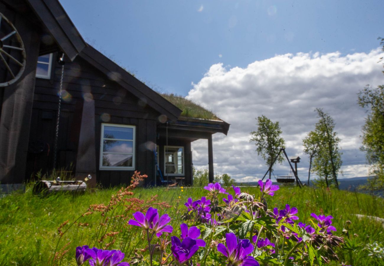 Cabin in Hol - Beautiful Mountain Cabin with great view in Geilo