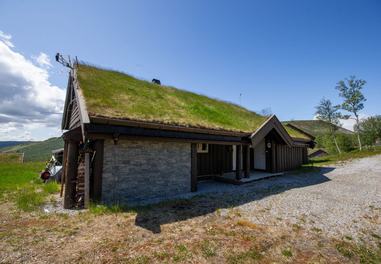 Cabin in Hol - Beautiful Mountain Cabin with great view in Geilo