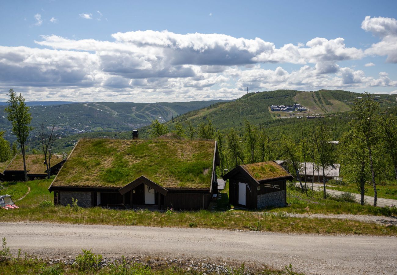 Cabin in Hol - Beautiful Mountain Cabin with great view in Geilo