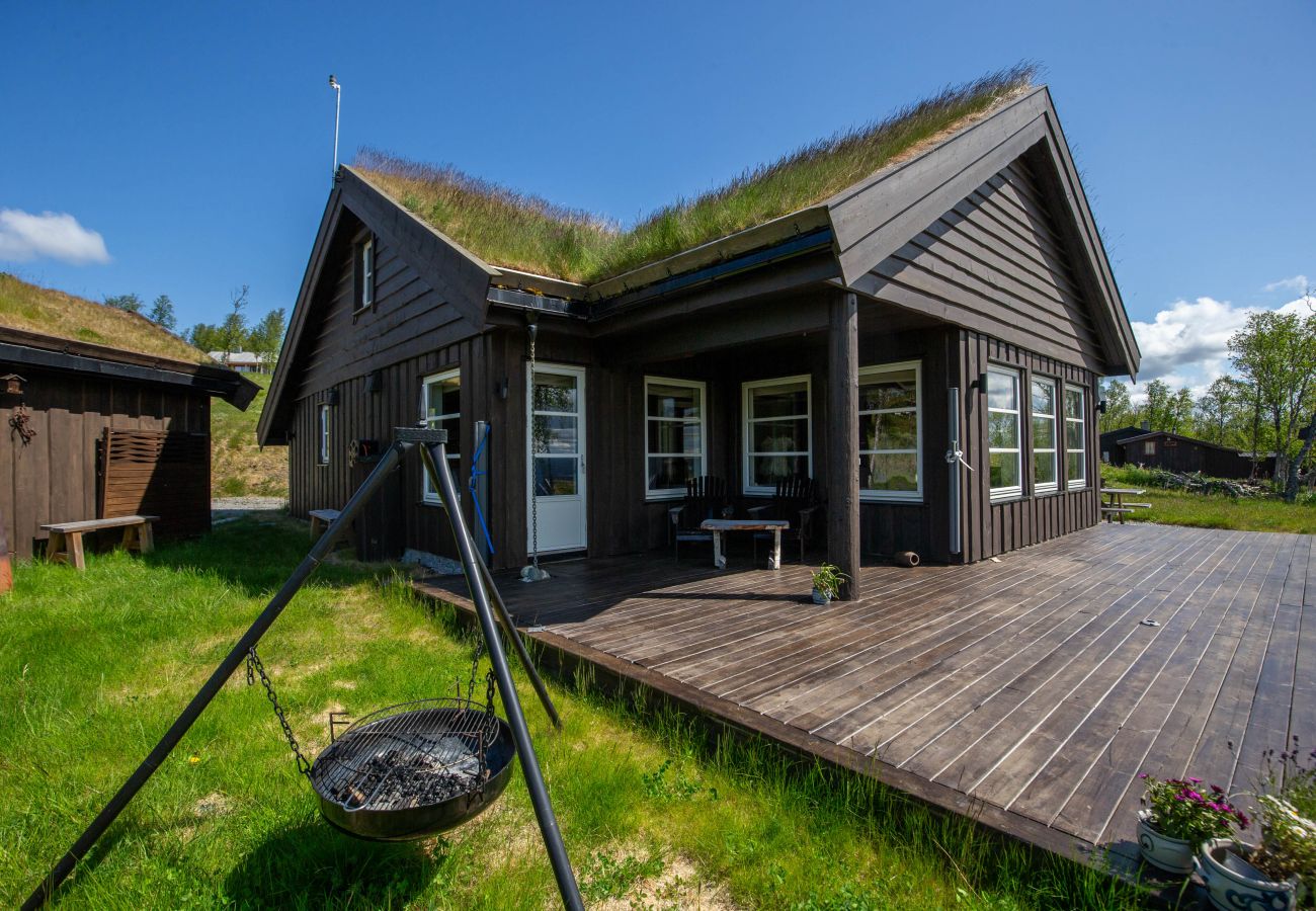 Cabin in Hol - Beautiful Mountain Cabin with great view in Geilo