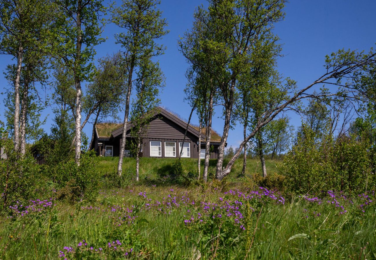 Cabin in Hol - Beautiful Mountain Cabin with great view in Geilo