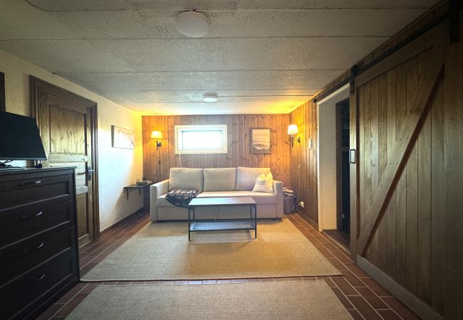 Cabin in Hol - Recently upgraded large beautiful cabin with fantastic views in Geilo Cabin in Hol - Recently upgraded large beautiful cabin with fantastic views in Geilo