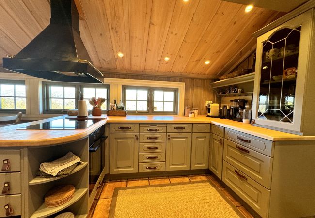 Cabin in Hol - Recently upgraded large beautiful cabin with fantastic views in Geilo Cabin in Hol - Recently upgraded large beautiful cabin with fantastic views in Geilo