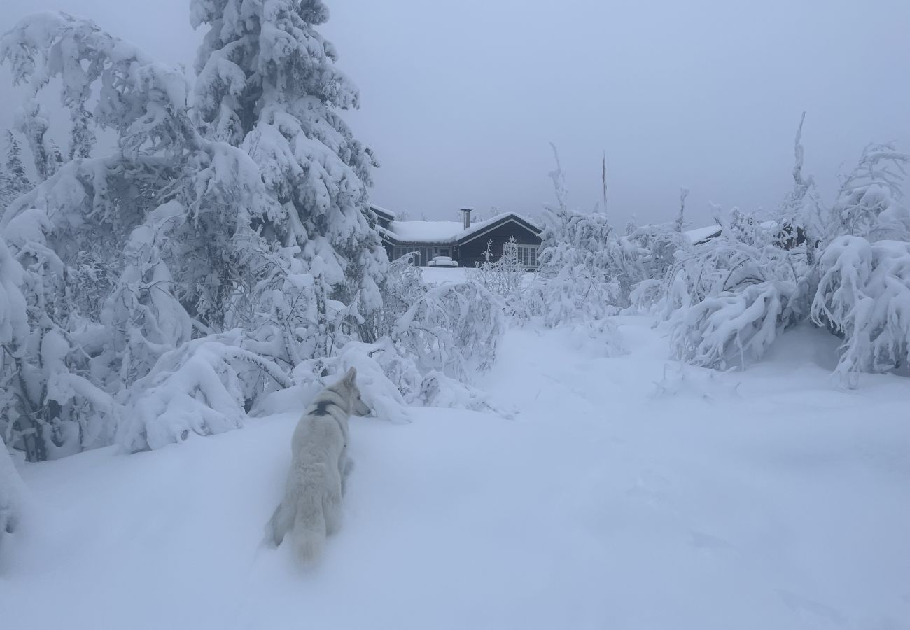 Cabin in Ål - Cozy Family friendly Cabin at Ål