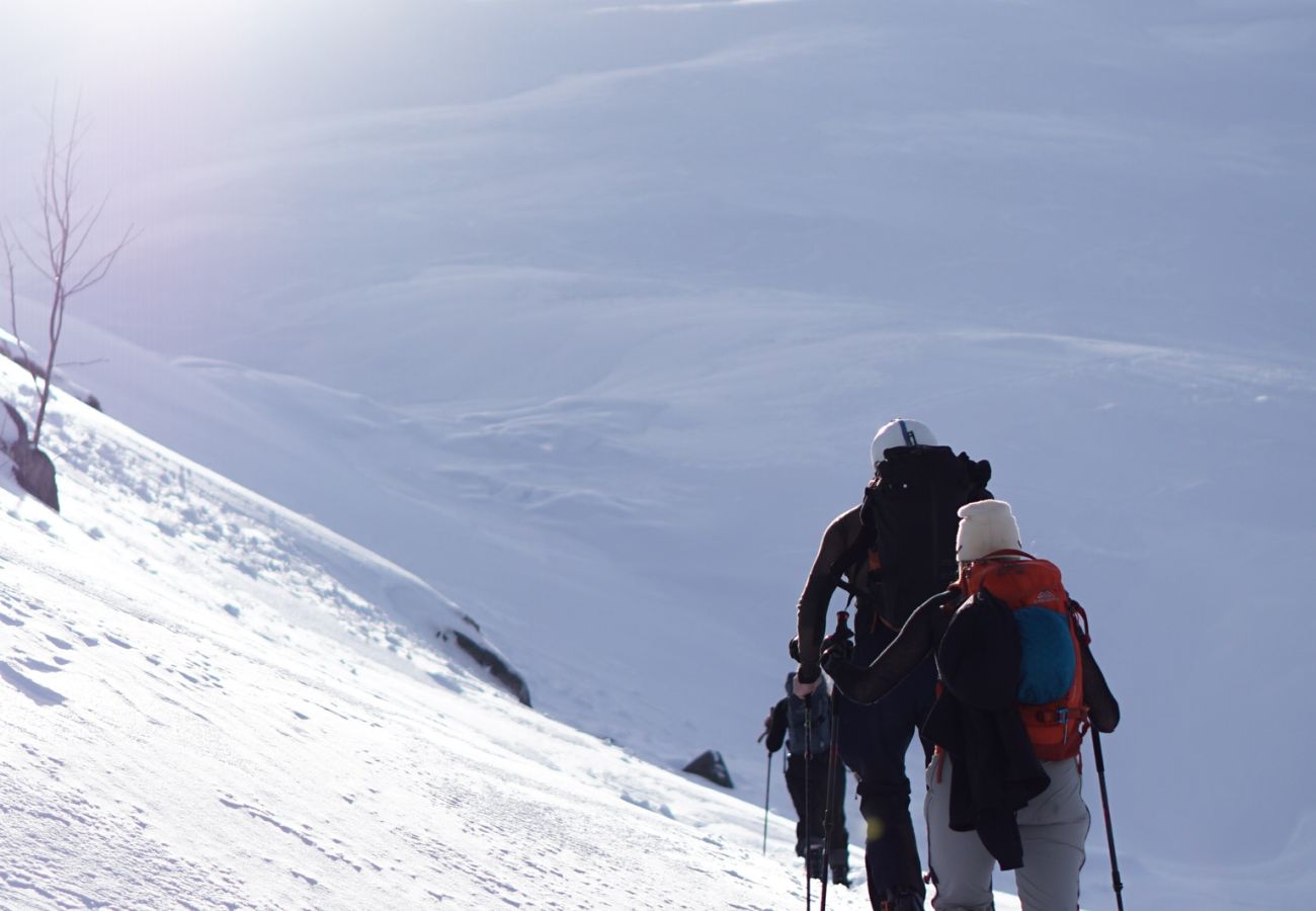 Apartment in Vågan - Modern One-Bedroom Apartment