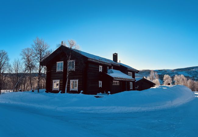 Cabin in Hol - Geilo centrum - cozy apartment - central location Cabin in Hol - Geilo centrum - cozy apartment - central location