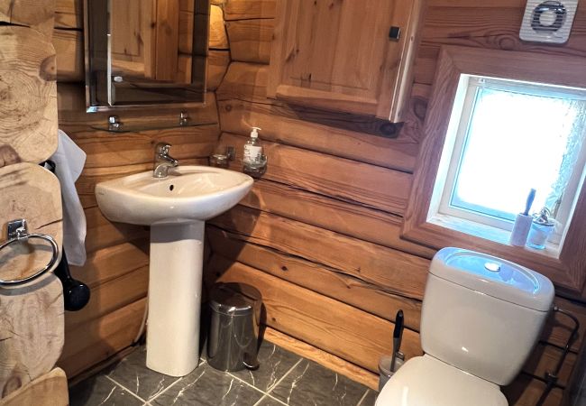 Cabin in Hol - Geilo centrum - cozy apartment - central location Cabin in Hol - Geilo centrum - cozy apartment - central location