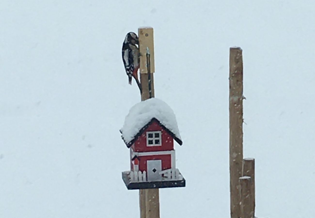 Cabin in Gol - New and great family cabin on Golsfjellet
