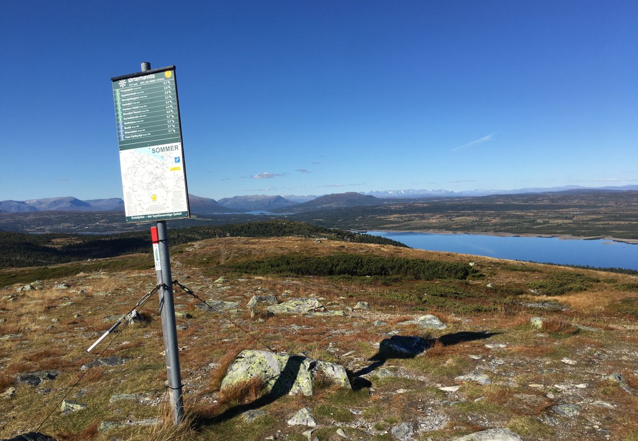 Cabin in Gol - New and great family cabin on Golsfjellet