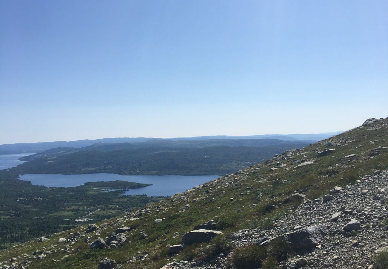 Cabin in Gol - New and great family cabin on Golsfjellet