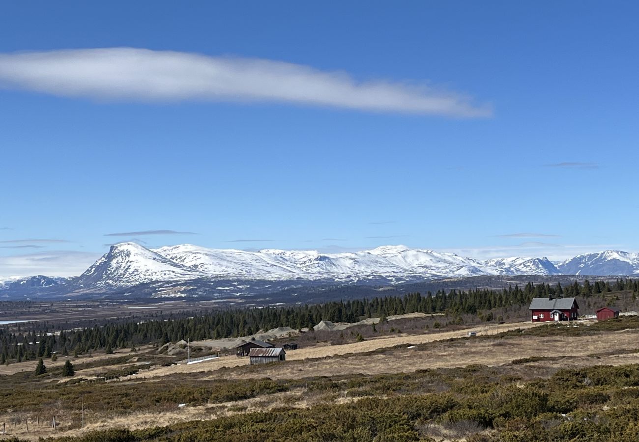Cabin in Gol - New and great family cabin on Golsfjellet