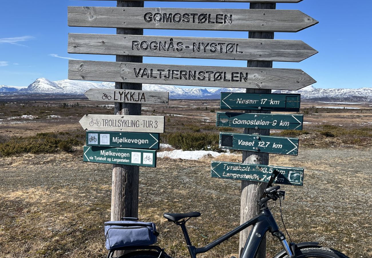 Cabin in Gol - New and great family cabin on Golsfjellet