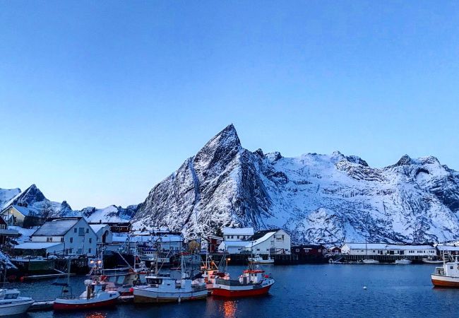 House in Moskenes - Myranhaugen, house in Reine House in Moskenes - Myranhaugen, house in Reine