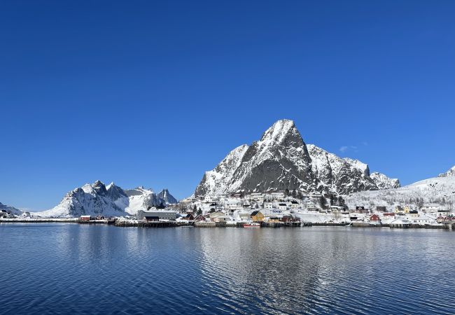 House in Moskenes - Myranhaugen, house in Reine House in Moskenes - Myranhaugen, house in Reine