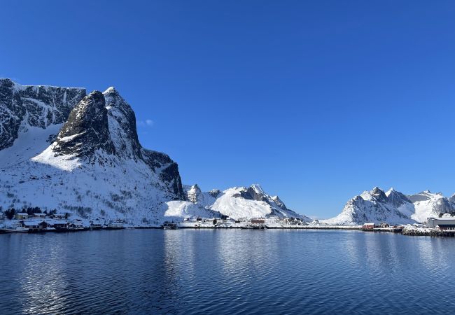 House in Moskenes - Myranhaugen, house in Reine House in Moskenes - Myranhaugen, house in Reine