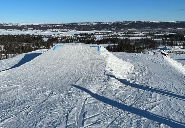 Apartment in Gol - Cozy apartment with ski in/ski out on Golsfjellet Apartment in Gol - Cozy apartment with ski in/ski out on Golsfjellet