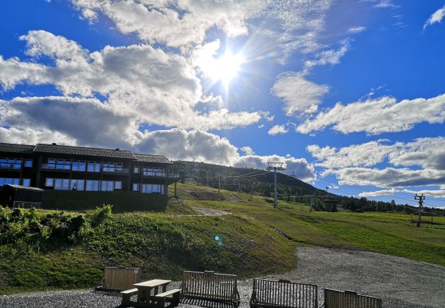 Apartment in Gol - Cozy apartment with ski in/ski out on Golsfjellet Apartment in Gol - Cozy apartment with ski in/ski out on Golsfjellet
