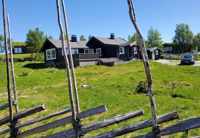 Cabin in Hol - Cozy, family-friendly cabin with stunning views in Geilo Cabin in Hol - Cozy, family-friendly cabin with stunning views in Geilo