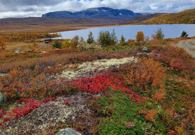 Cabin in Hol - Cozy, family-friendly cabin with stunning views in Geilo Cabin in Hol - Cozy, family-friendly cabin with stunning views in Geilo