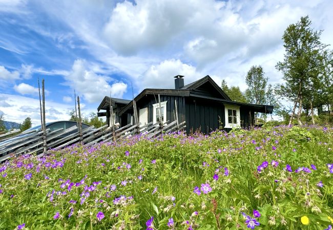 Cabin in Hol - Cozy, family-friendly cabin with stunning views in Geilo Cabin in Hol - Cozy, family-friendly cabin with stunning views in Geilo