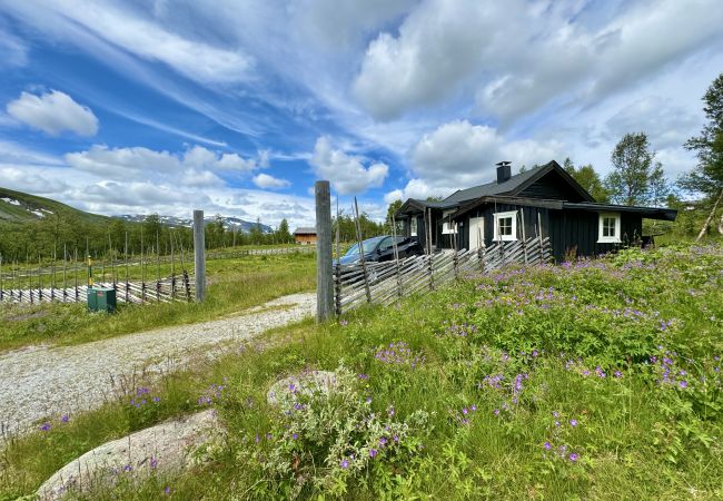 Cabin in Hol - Cozy, family-friendly cabin with stunning views in Geilo Cabin in Hol - Cozy, family-friendly cabin with stunning views in Geilo
