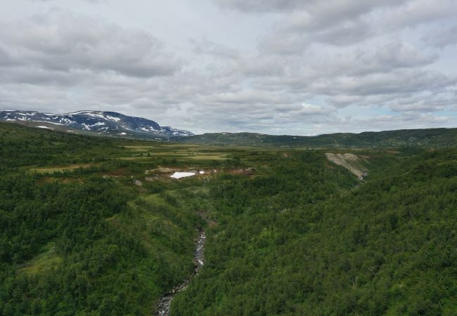 Cabin in Hol - Cozy, family-friendly cabin with stunning views in Geilo Cabin in Hol - Cozy, family-friendly cabin with stunning views in Geilo