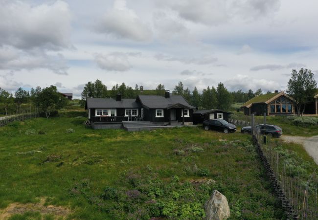 Cabin in Hol - Cozy, family-friendly cabin with stunning views in Geilo Cabin in Hol - Cozy, family-friendly cabin with stunning views in Geilo