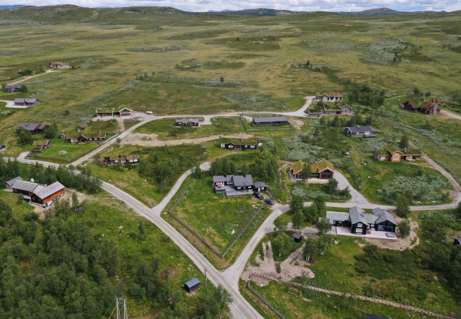Cabin in Hol - Cozy, family-friendly cabin with stunning views in Geilo Cabin in Hol - Cozy, family-friendly cabin with stunning views in Geilo