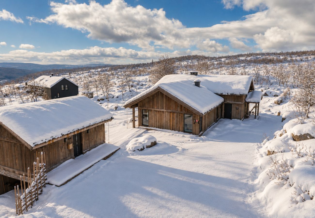 Cabin in Hol - Spacious, exclusive and modern cabin for rent in Kikut, Geilo