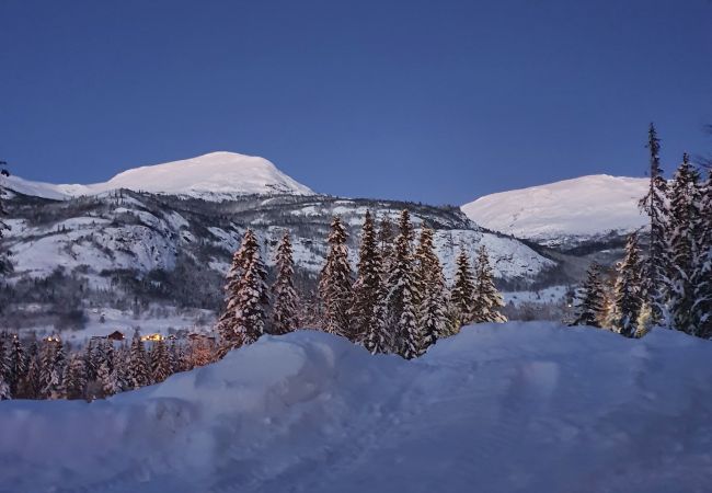 Apartment in Hemsedal -  Spacious apartment near Hemsedal ski resort Ski in ski out Apartment in Hemsedal -  Spacious apartment near Hemsedal ski resort Ski in ski out