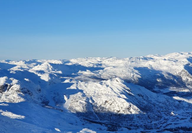 Apartment in Hemsedal -  Spacious apartment near Hemsedal ski resort Ski in ski out Apartment in Hemsedal -  Spacious apartment near Hemsedal ski resort Ski in ski out