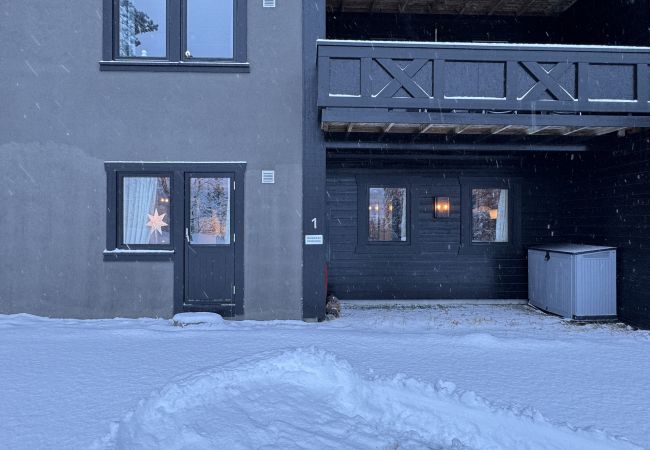 Apartment in Hemsedal -  Spacious apartment near Hemsedal ski resort Ski in ski out Apartment in Hemsedal -  Spacious apartment near Hemsedal ski resort Ski in ski out