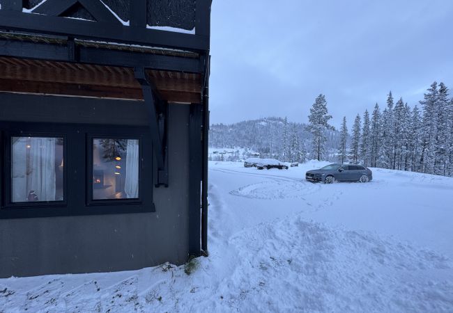 Apartment in Hemsedal -  Spacious apartment near Hemsedal ski resort Ski in ski out Apartment in Hemsedal -  Spacious apartment near Hemsedal ski resort Ski in ski out