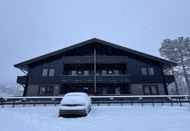 Apartment in Hemsedal -  Spacious apartment near Hemsedal ski resort Ski in ski out Apartment in Hemsedal -  Spacious apartment near Hemsedal ski resort Ski in ski out