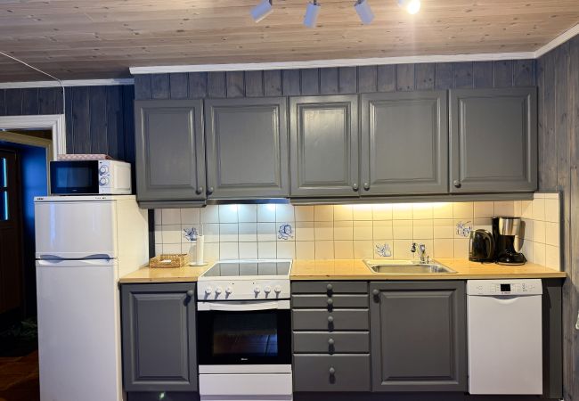 Apartment in Hemsedal -  Spacious apartment near Hemsedal ski resort Ski in ski out Apartment in Hemsedal -  Spacious apartment near Hemsedal ski resort Ski in ski out