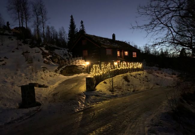 Cabin in Hol - Fjellro Cabin in Hol - Fjellro