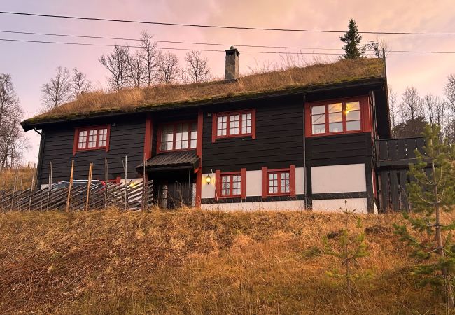 Cabin in Hol - Fjellro Cabin in Hol - Fjellro