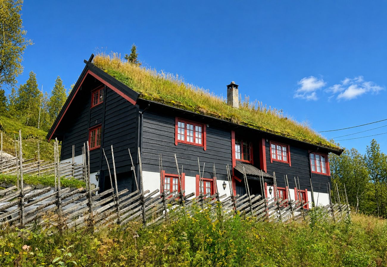 Cabin in Hol - Spacious cabin with beautiful Geilo views