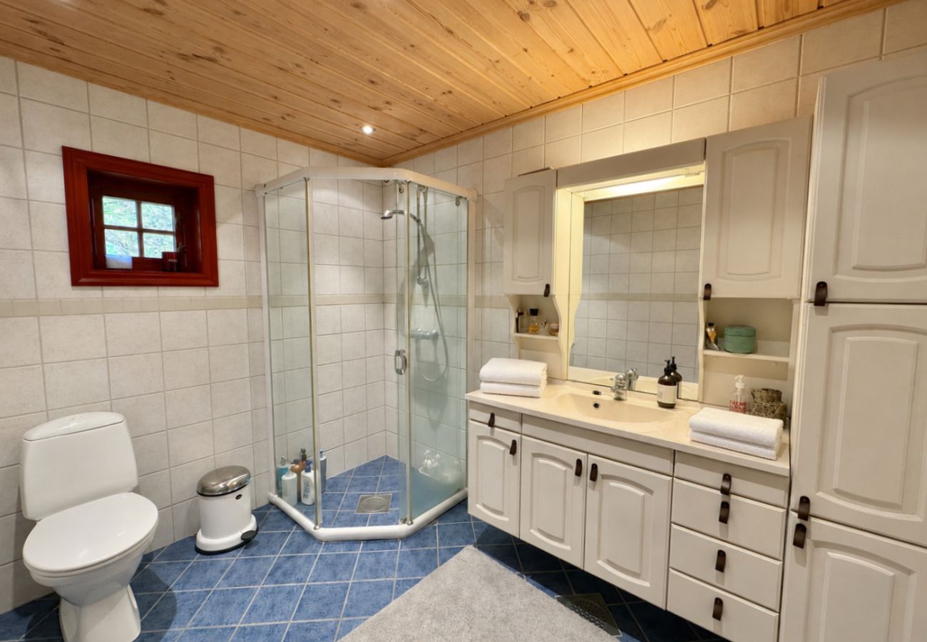 Cabin in Hol - Spacious cabin with beautiful Geilo views