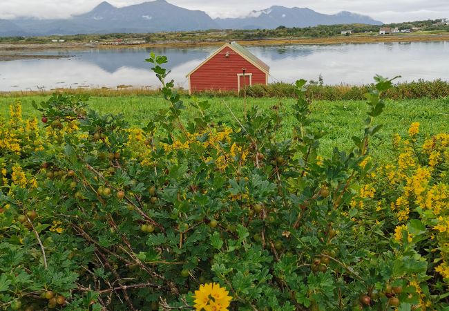 Cabin in Vestvågøy - Feriehus ved sjøen, Lofoten Cabin in Vestvågøy - Feriehus ved sjøen, Lofoten