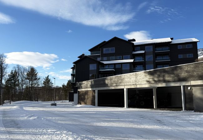 Apartment in Hol - Exclusive and cozy apartment central Geilo area Apartment in Hol - Exclusive and cozy apartment central Geilo area