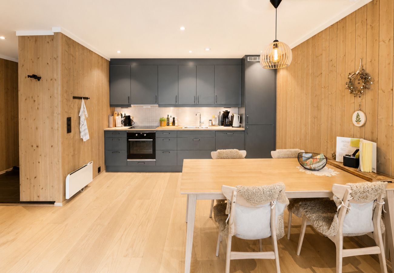 Apartment in Hol - Exclusive and cozy apartment central Geilo area