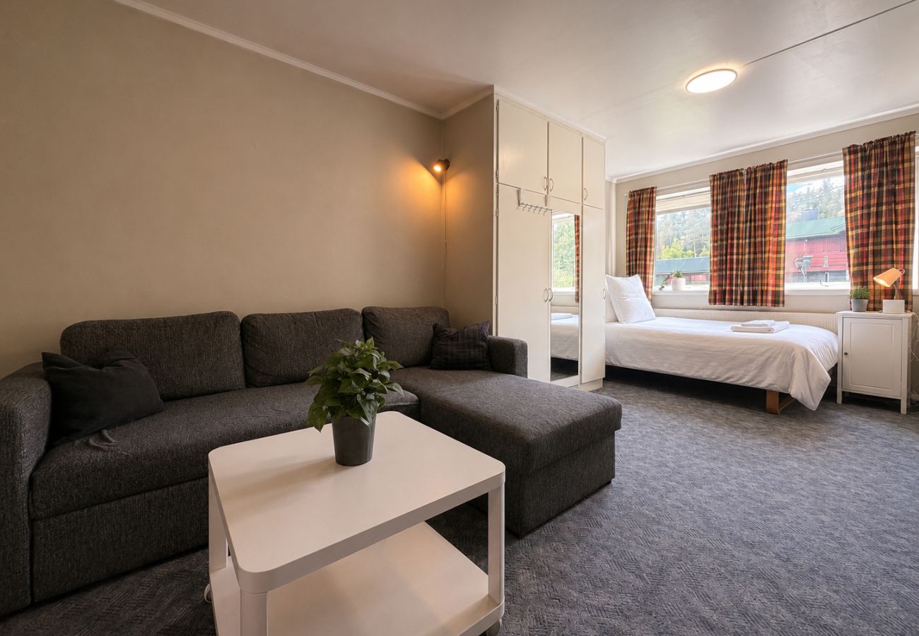 Studio in Gol - Studio apartment in center of Gol