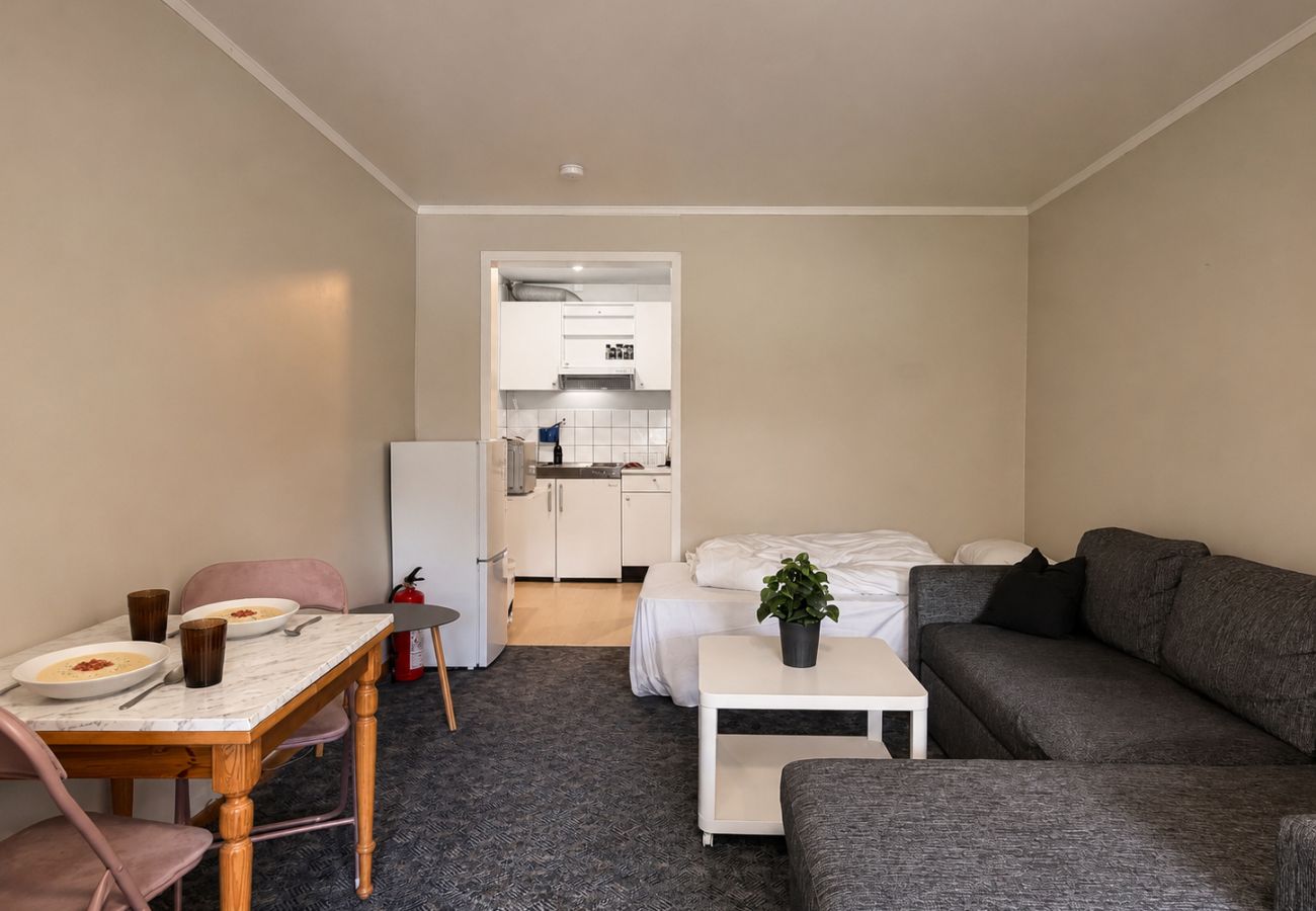 Studio in Gol - Studio apartment in center of Gol
