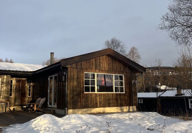 Cabin in Hol - Charming and cozy cabin in Geilo Cabin in Hol - Charming and cozy cabin in Geilo