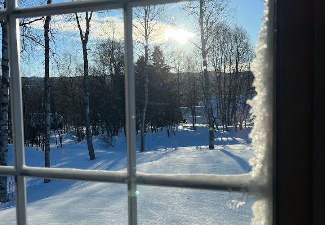 Cabin in Hol - Charming and cozy cabin in Geilo Cabin in Hol - Charming and cozy cabin in Geilo