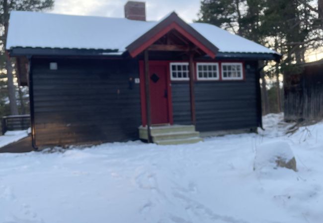 Cabin in Hol - Cozy cabin in Geilo Cabin in Hol - Cozy cabin in Geilo