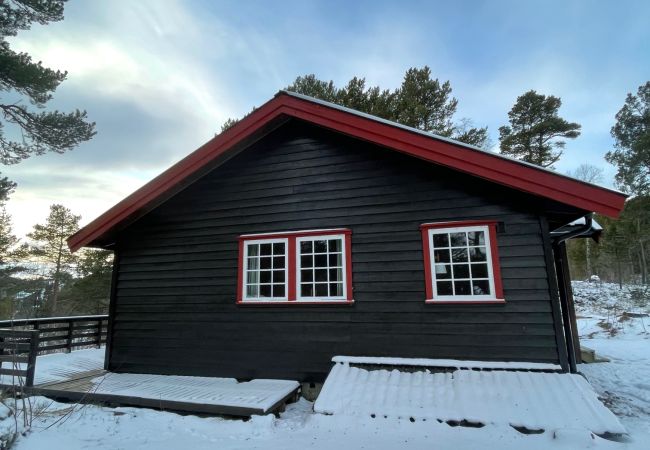 Cabin in Hol - Cozy cabin in Geilo Cabin in Hol - Cozy cabin in Geilo