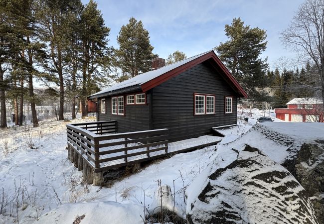 Cabin in Hol - Cozy cabin in Geilo Cabin in Hol - Cozy cabin in Geilo